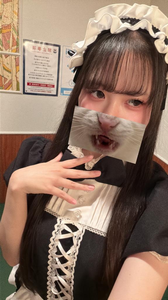 めいどさん！
