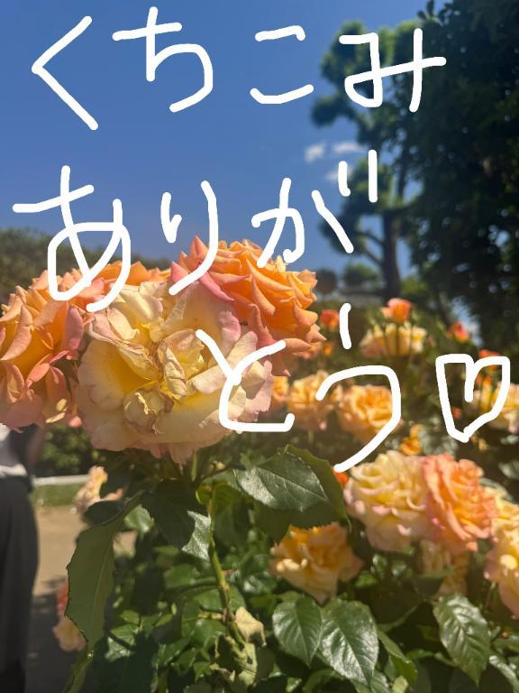 クチコミありがとう♡
