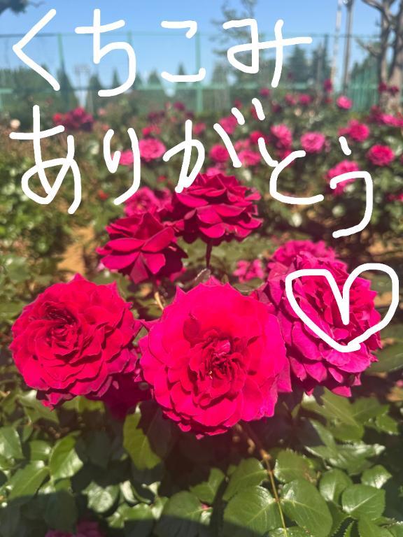 クチコミありがとう♡