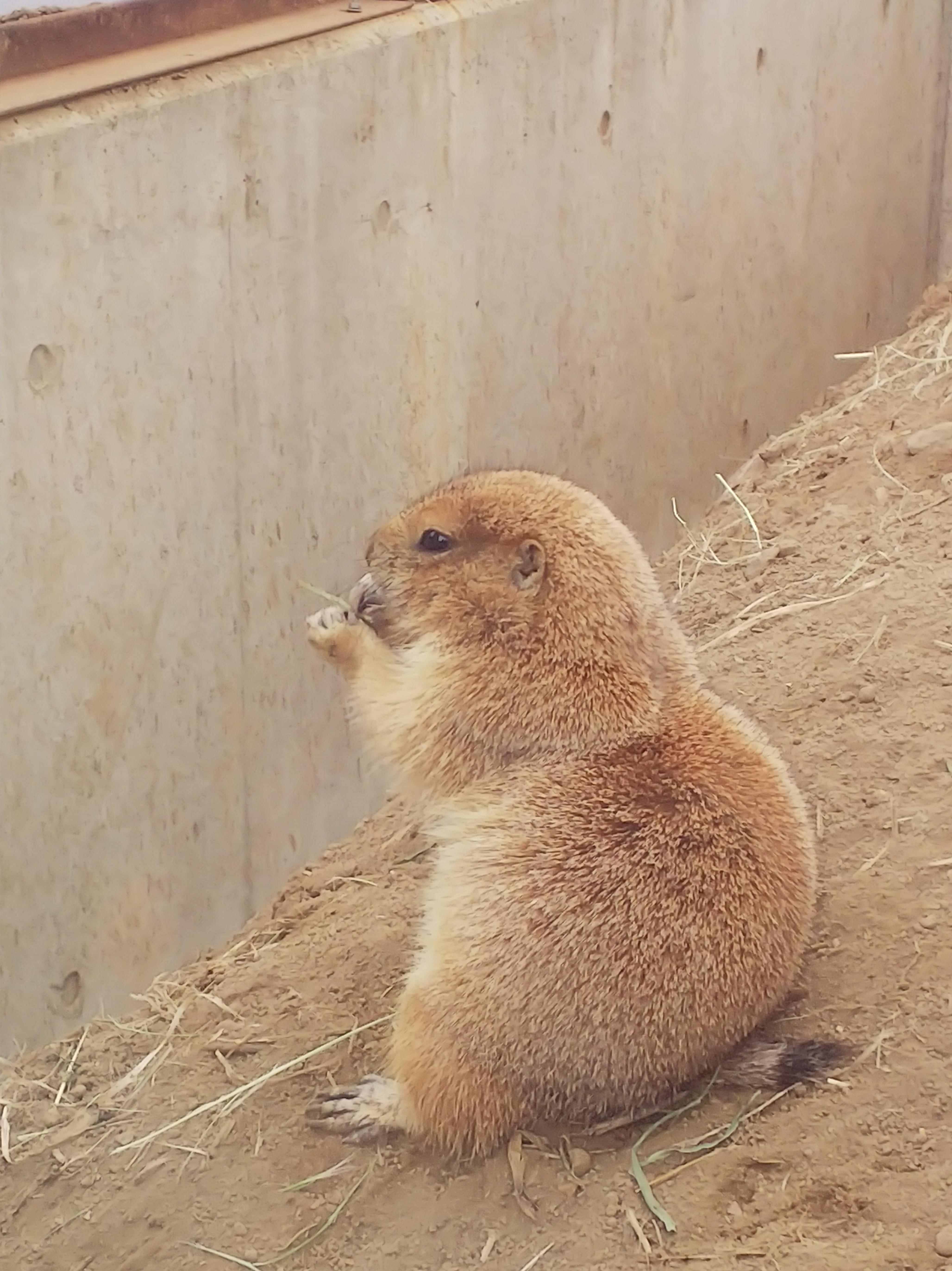 ♡お礼♡