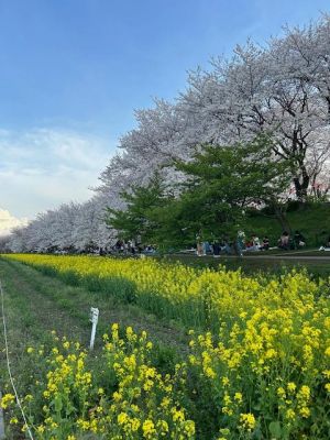 季節の変わり目