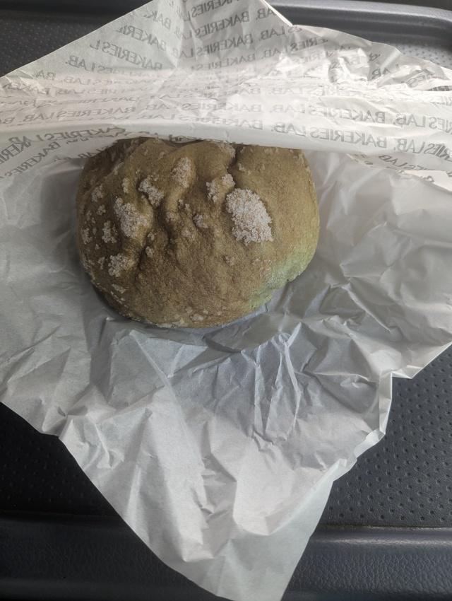 こんにちは(」・&omega;・)