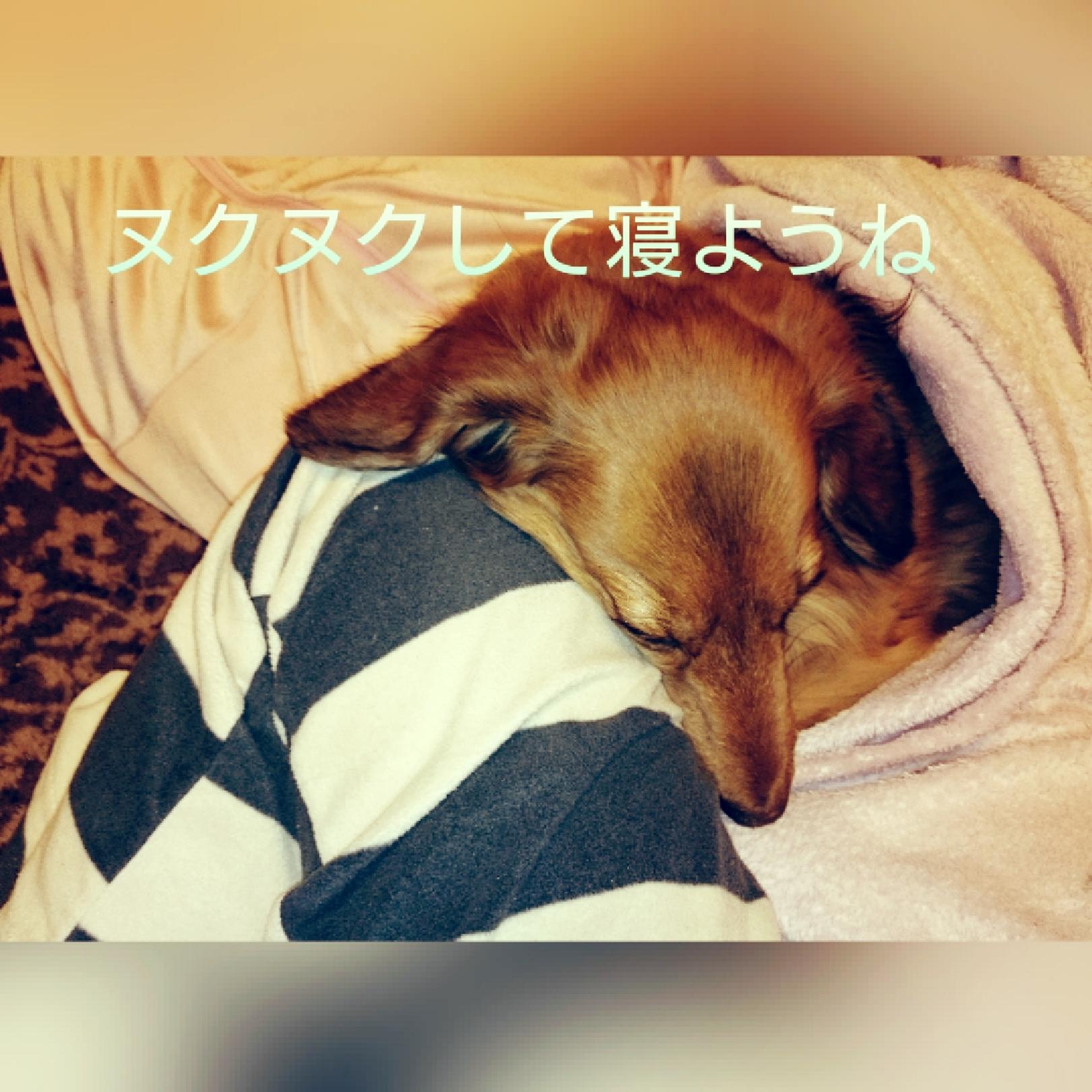 こんばんは