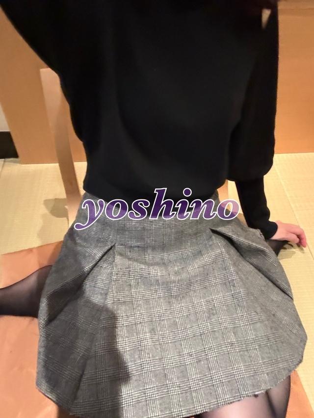 お久しぶりです<img class="emojione" alt="🎵" title=":musical_note:" src="https://fuzoku.jp/assets/img/emojione/1f3b5.png"/>