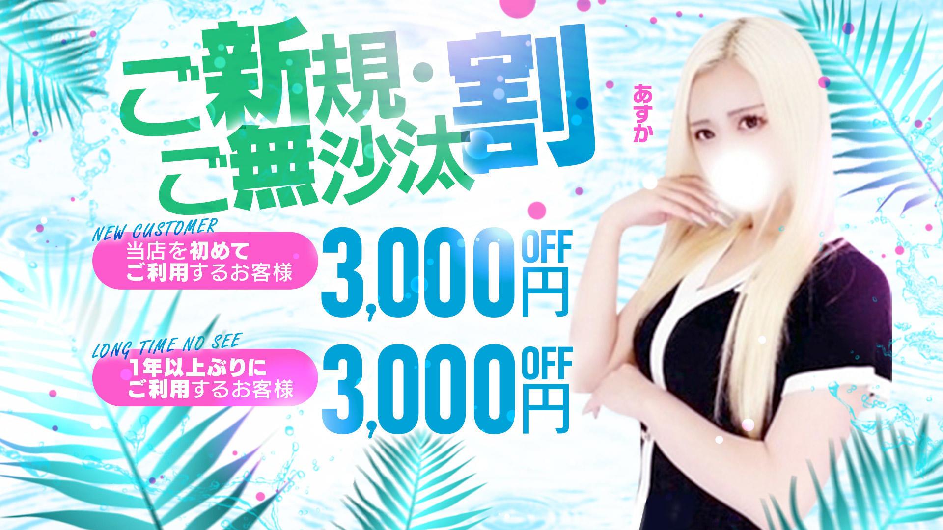 Honey Bee（ハニービー）