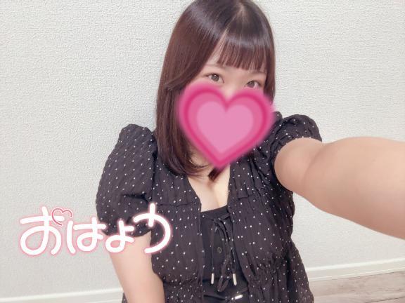 今日も朝から、、