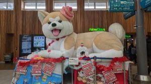 こんにちは〜<img class="emojione" alt="🐶" title=":dog:" src="https://fuzoku.jp/assets/img/emojione/1f436.png"/>