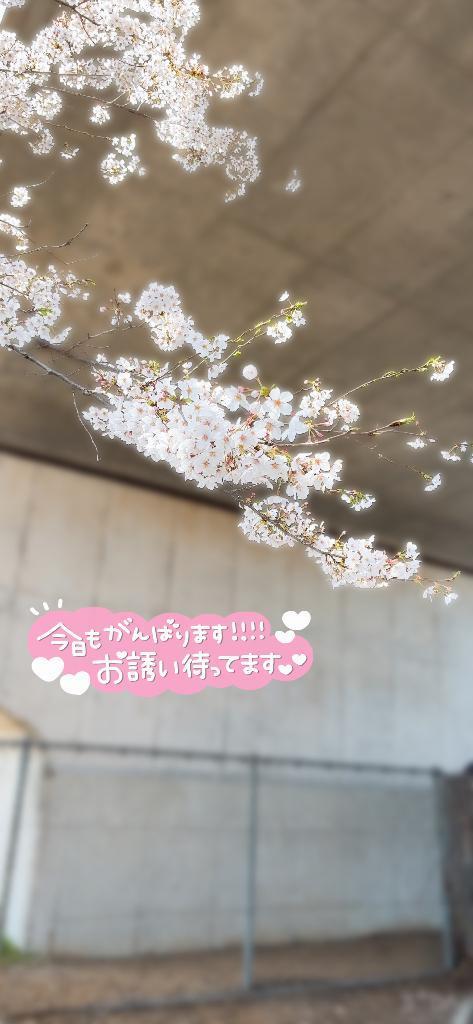 どこにでも<img class="emojione" alt="💪🏻" title=":muscle_tone1:" src="https://fuzoku.jp/assets/img/emojione/1f4aa-1f3fb.png"/>