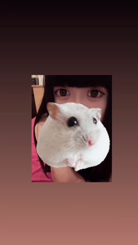 いる！よ！
