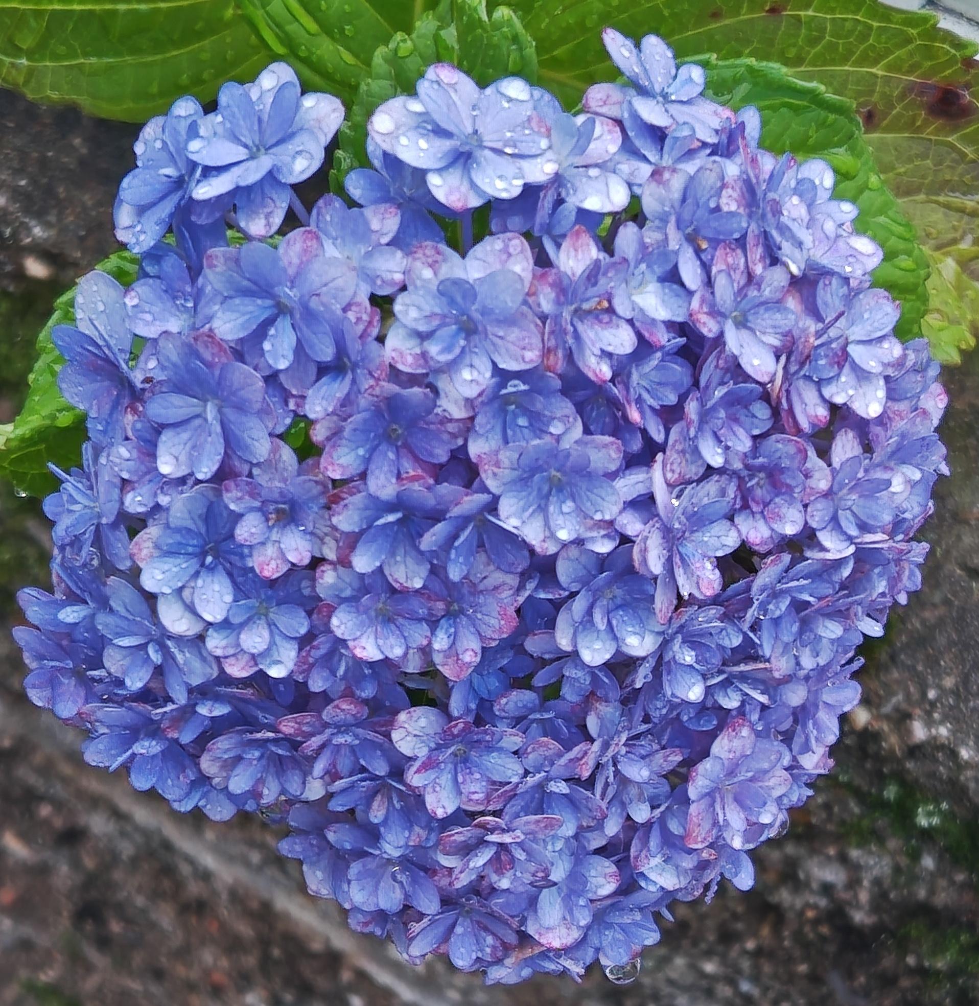 お休みなさい…
