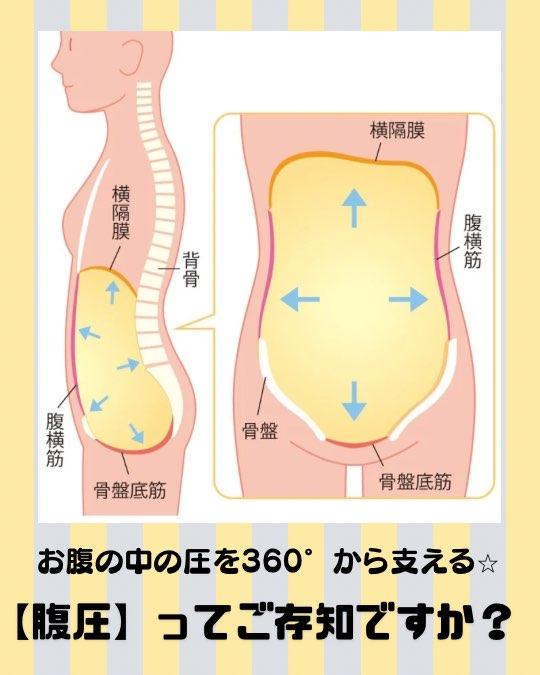 身体の土台になる【腹圧】の話