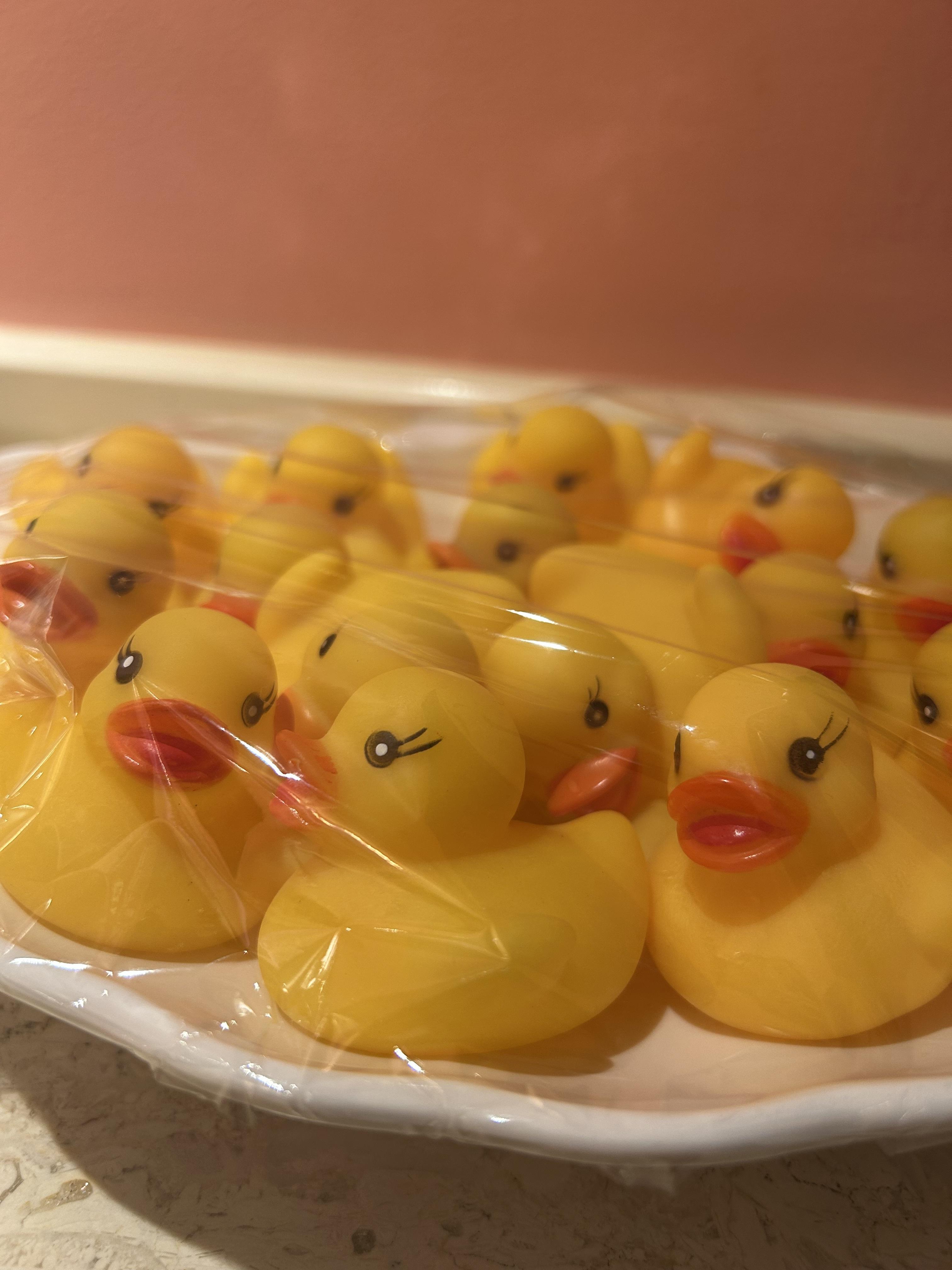 ひよこ…<img class="emojione" alt="🐥" title=":hatched_chick:" src="https://fuzoku.jp/assets/img/emojione/1f425.png"/>⸒⸒
