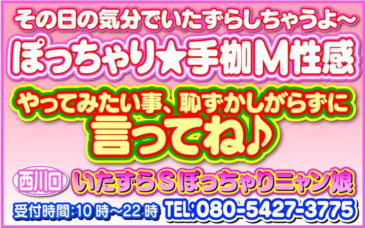 いたずらSぽっちゃりニャン娘
