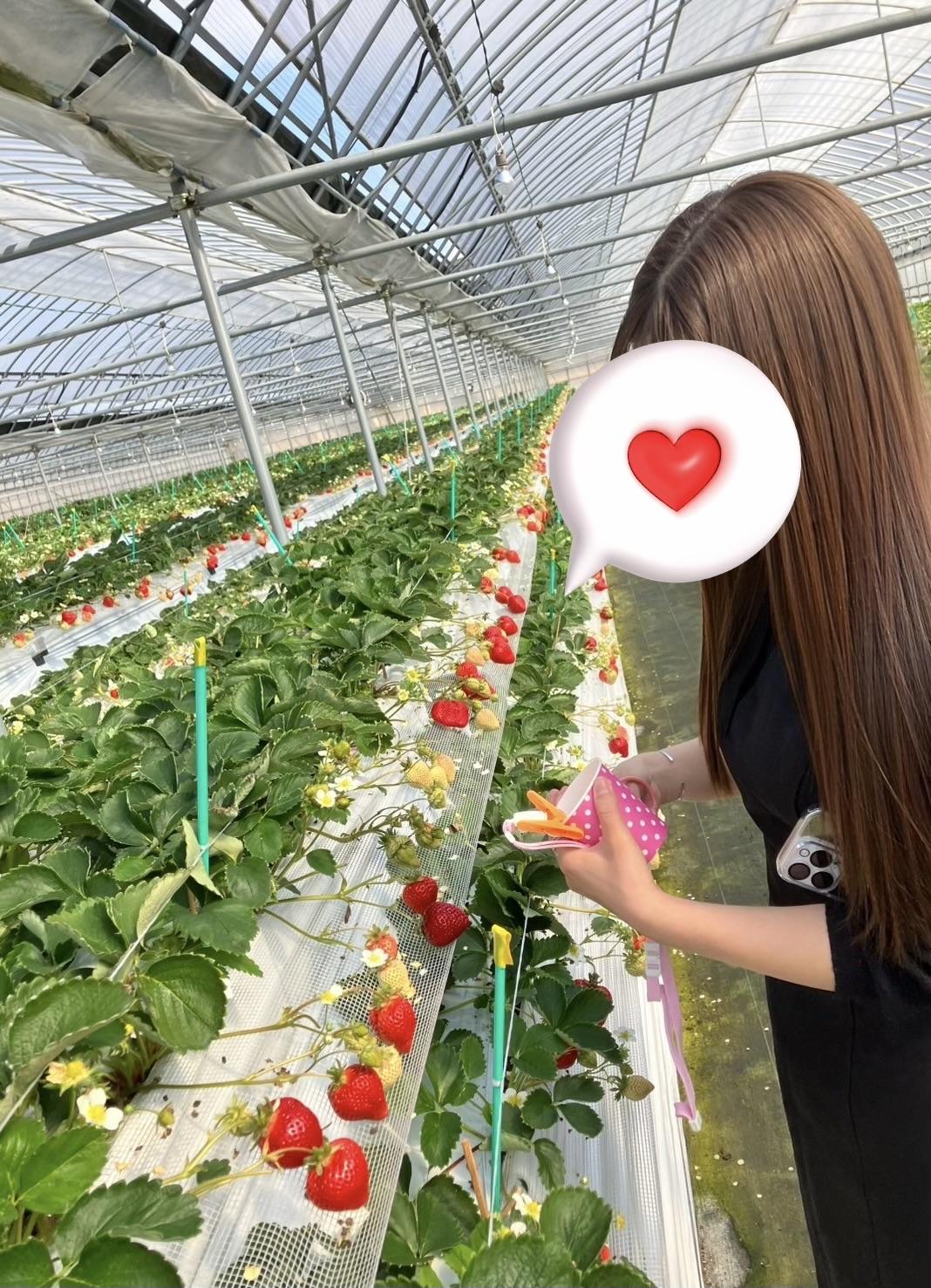 出勤予定日<img class="emojione" alt="🍳" title=":cooking:" src="https://fuzoku.jp/assets/img/emojione/1f373.png"/>