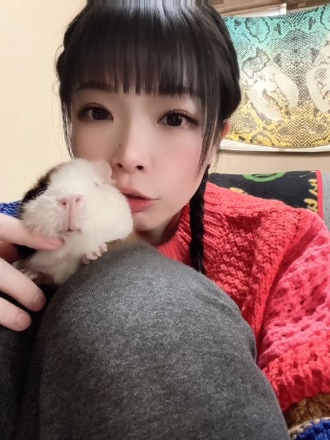 明日から舞い戻る( '&omega;' و(و"♪