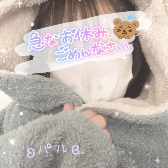 今日もɞ.｡