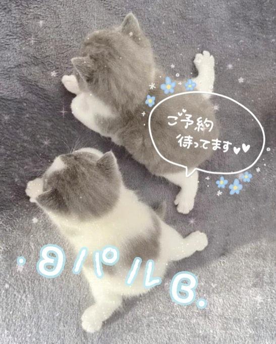 長引いて、、ɞ.｡