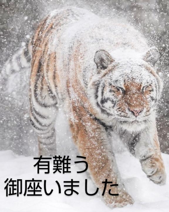 ありがとう<img class="emojione" alt="🙂" title=":slight_smile:" src="https://fuzoku.jp/assets/img/emojione/1f642.png"/><img class="emojione" alt="✌️" title=":v:" src="https://fuzoku.jp/assets/img/emojione/270c.png"/>