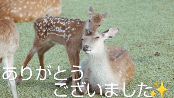 ありがとう<img class="emojione" alt="😄" title=":smile:" src="https://fuzoku.jp/assets/img/emojione/1f604.png"/><img class="emojione" alt="✌️" title=":v:" src="https://fuzoku.jp/assets/img/emojione/270c.png"/><img class="emojione" alt="✨" title=":sparkles:" src="https://fuzoku.jp/assets/img/emojione/2728.png"/>