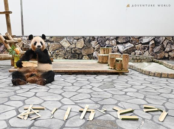 ありがとう<img class="emojione" alt="😶" title=":no_mouth:" src="https://fuzoku.jp/assets/img/emojione/1f636.png"/><img class="emojione" alt="☘️" title=":shamrock:" src="https://fuzoku.jp/assets/img/emojione/2618.png"/>