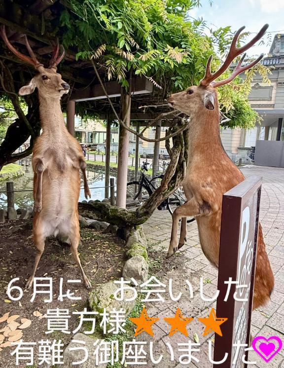 ６月お世話になりました<img class="emojione" alt="🌿" title=":herb:" src="https://fuzoku.jp/assets/img/emojione/1f33f.png"/>