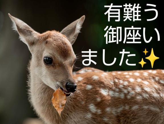 ありがとう<img class="emojione" alt="☘️" title=":shamrock:" src="https://fuzoku.jp/assets/img/emojione/2618.png"/><img class="emojione" alt="☘️" title=":shamrock:" src="https://fuzoku.jp/assets/img/emojione/2618.png"/><img class="emojione" alt="☘️" title=":shamrock:" src="https://fuzoku.jp/assets/img/emojione/2618.png"/>