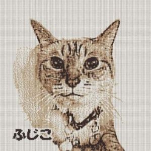お休み　事前告知です<img class="emojione" alt="✨" title=":sparkles:" src="https://fuzoku.jp/assets/img/emojione/2728.png"/>