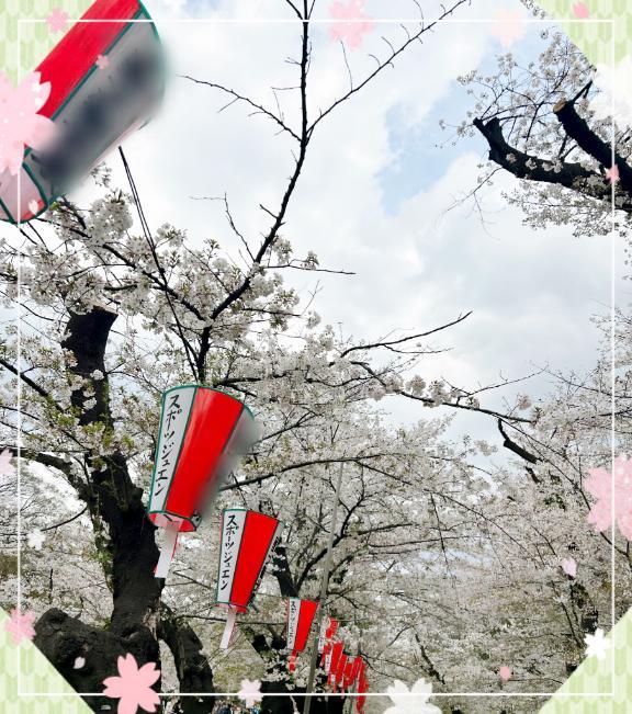 お花見<img class="emojione" alt="🌸" title=":cherry_blossom:" src="https://fuzoku.jp/assets/img/emojione/1f338.png"/>