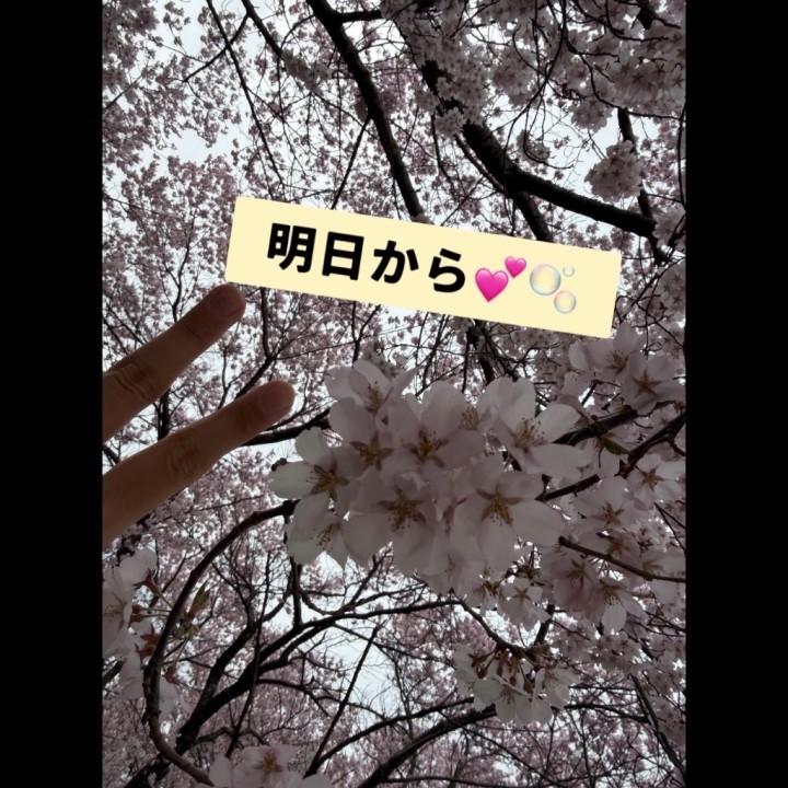 明日から！！