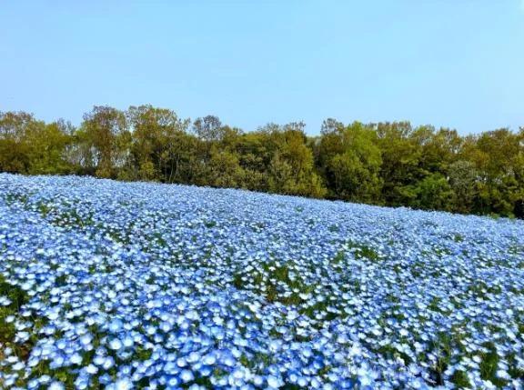 本日、出勤さします