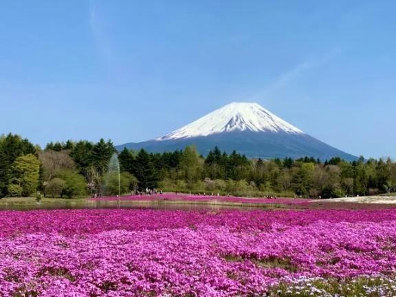 ご予約満了です🥰