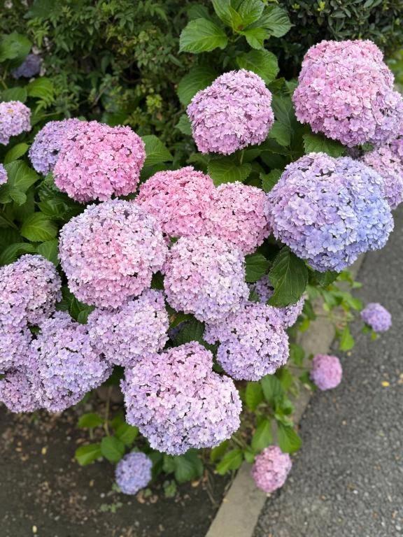 事前予約ありがとうございます&hearts;️