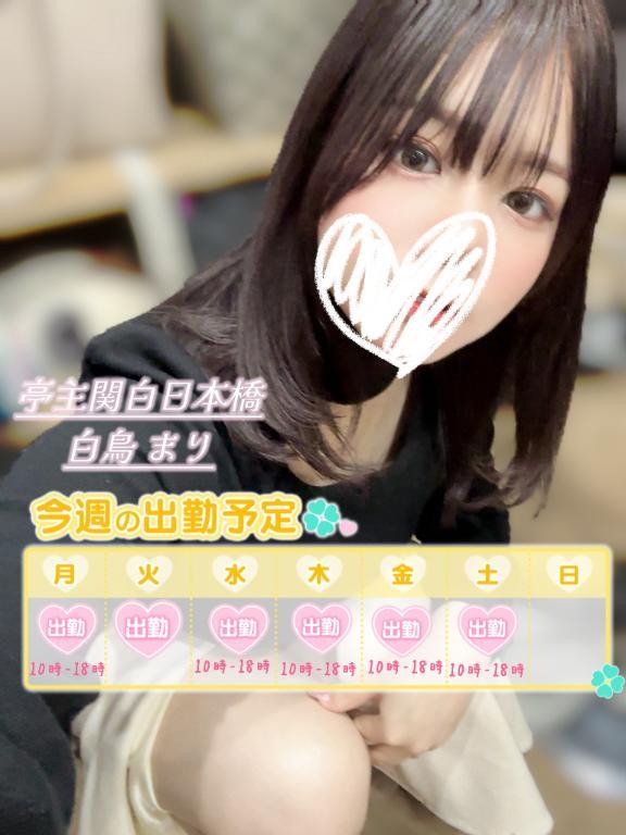 今週の出勤予定🫶