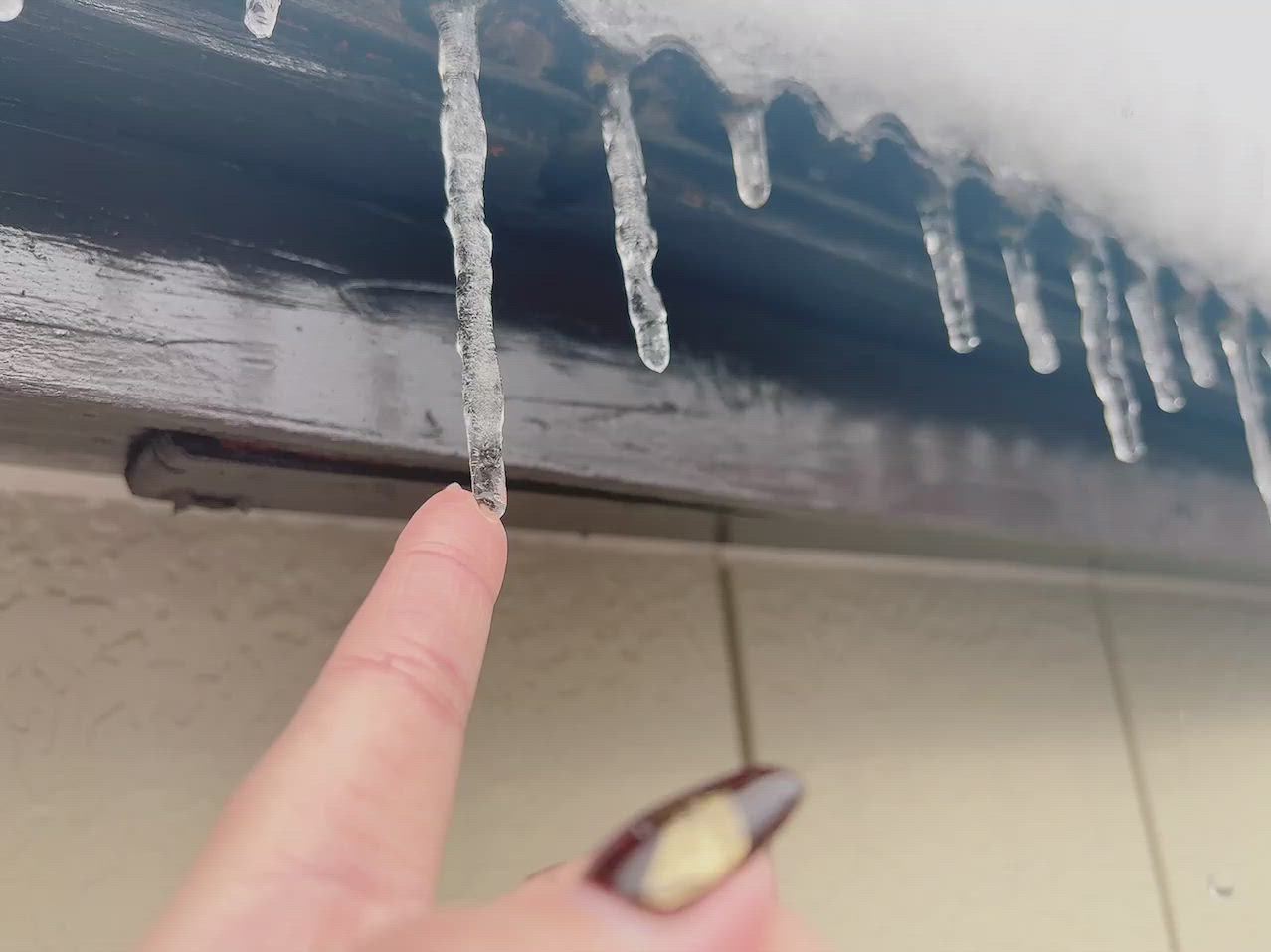 本日出勤&ang;(　˙-˙ )／