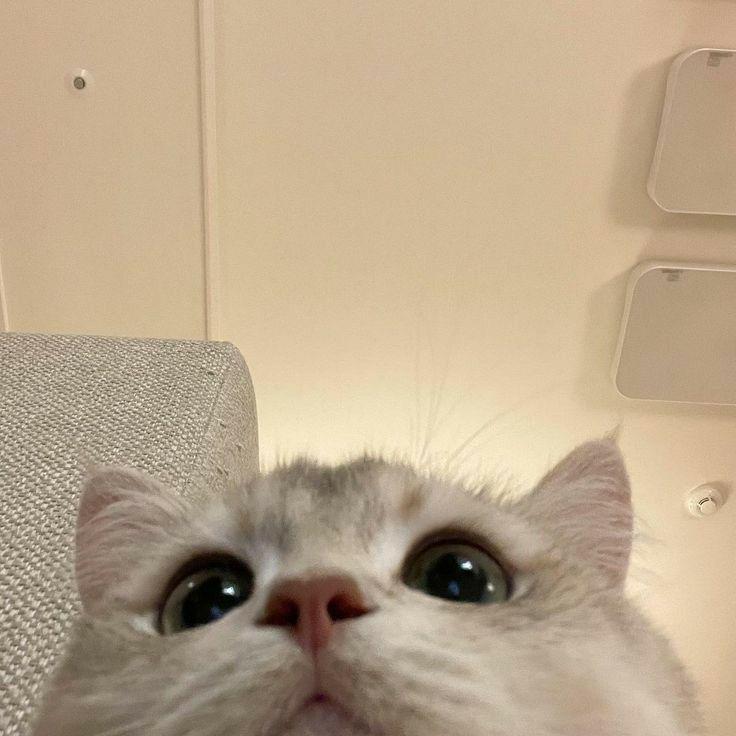 明日までお休みします（ ;  ; ）