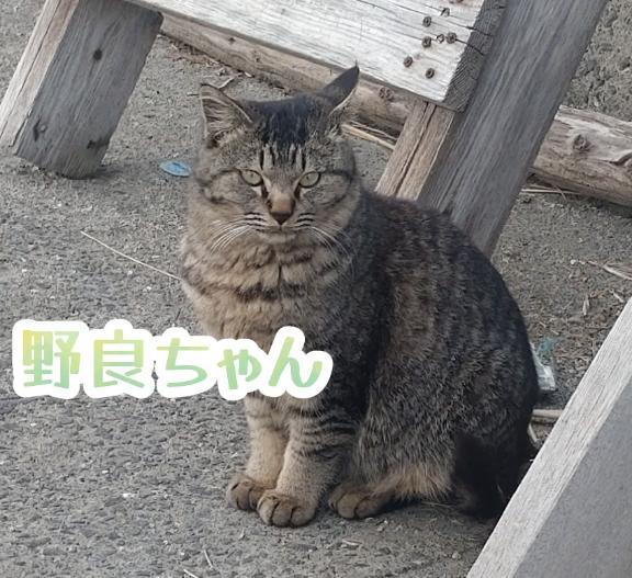 癒されﾓｰﾄﾞ発動<img class="emojione" alt="💕" title=":two_hearts:" src="https://fuzoku.jp/assets/img/emojione/1f495.png"/>