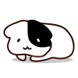 本日出勤しております⭐️