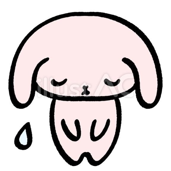 明日からまた