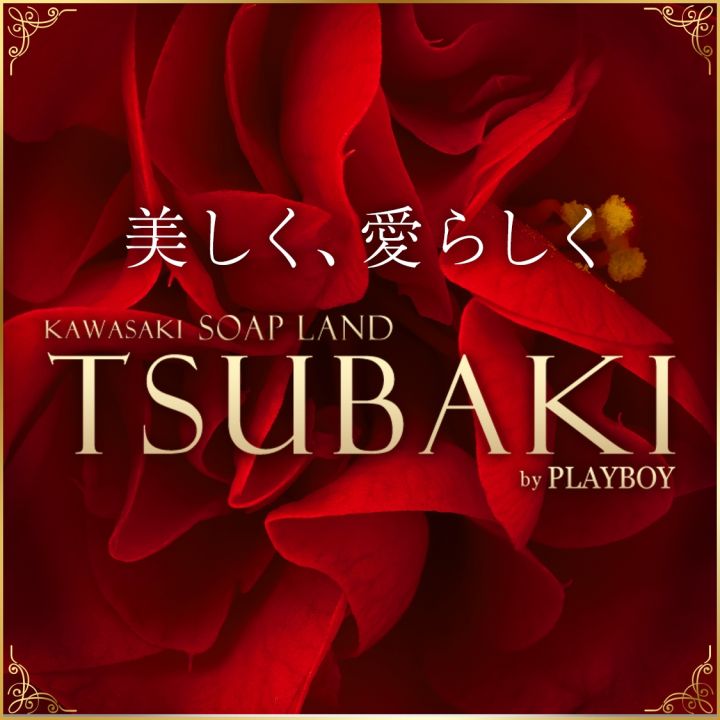 ツバキ by プレイボーイ