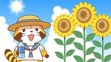 ひまわり<img class="emojione" alt="🌻" title=":sunflower:" src="https://fuzoku.jp/assets/img/emojione/1f33b.png"/>