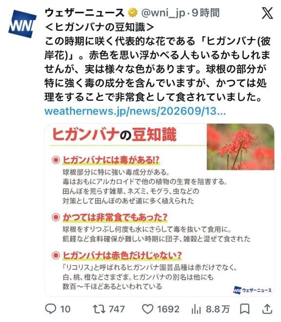 <img class="emojione" alt="💎" title=":gem:" src="https://fuzoku.jp/assets/img/emojione/1f48e.png"/>ヒガンバナ（曼珠沙華）