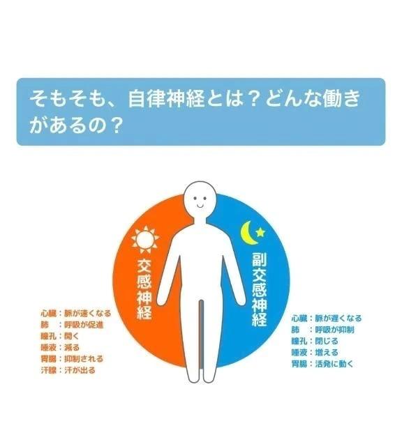 <img class="emojione" alt="💎" title=":gem:" src="https://fuzoku.jp/assets/img/emojione/1f48e.png"/>自立神経、ととのえてますか？