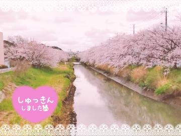 こんにちは<img class="emojione" alt="🌸" title=":cherry_blossom:" src="https://fuzoku.jp/assets/img/emojione/1f338.png"/>