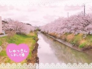 こんにちは<img class="emojione" alt="🌸" title=":cherry_blossom:" src="https://fuzoku.jp/assets/img/emojione/1f338.png"/>