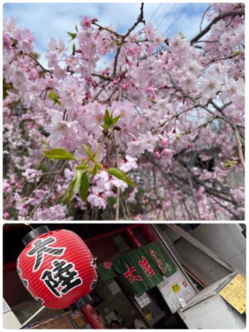 【お花見と新大陸<img class="emojione" alt="🌸" title=":cherry_blossom:" src="https://fuzoku.jp/assets/img/emojione/1f338.png"/><img class="emojione" alt="🏮" title=":izakaya_lantern:" src="https://fuzoku.jp/assets/img/emojione/1f3ee.png"/>&本日の感謝の気持ち🥹🫶<img class="emojione" alt="💕" title=":two_hearts:" src="https://fuzoku.jp/assets/img/emojione/1f495.png"/>】