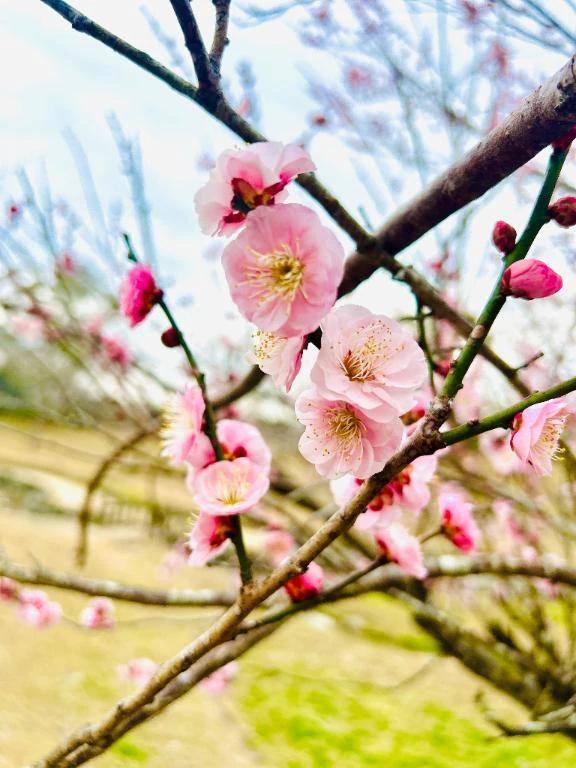 おはようございます。