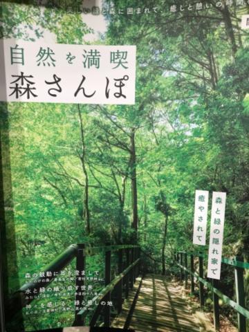 気になった<img class="emojione" alt="🌲" title=":evergreen_tree:" src="https://fuzoku.jp/assets/img/emojione/1f332.png"/>
