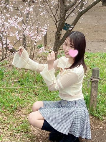 桜とさくらこ<img class="emojione" alt="🌸" title=":cherry_blossom:" src="https://fuzoku.jp/assets/img/emojione/1f338.png"/>