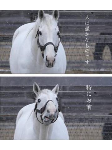 ウマ<img class="emojione" alt="🐎" title=":racehorse:" src="https://fuzoku.jp/assets/img/emojione/1f40e.png"/>