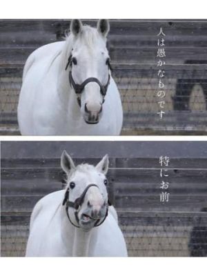 ウマ<img class="emojione" alt="🐎" title=":racehorse:" src="https://fuzoku.jp/assets/img/emojione/1f40e.png"/>